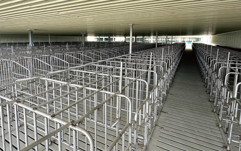 EMPEROR PENGUIN ENT.CO.,LTD. Gestation House 