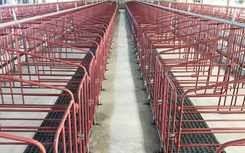 EMPEROR PENGUIN ENT.CO.,LTD. Gestation House 