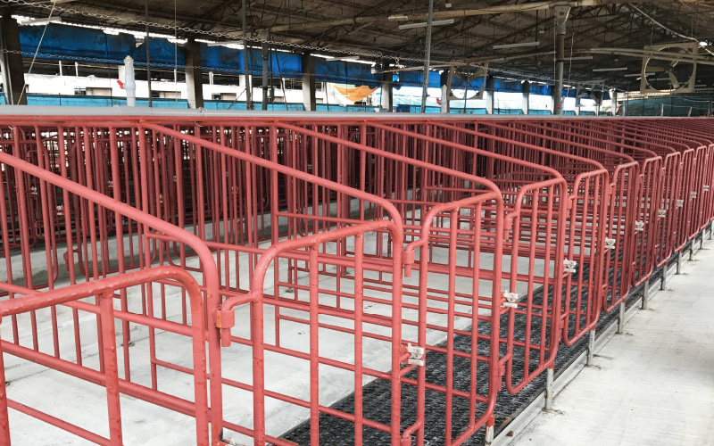 EMPEROR PENGUIN ENT.CO.,LTD. Gestation House 