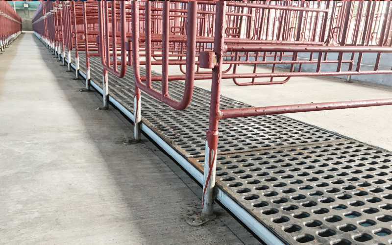 EMPEROR PENGUIN ENT.CO.,LTD. Gestation House 