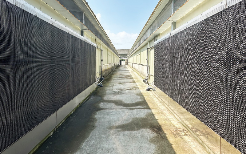 EMPEROR PENGUIN ENT.CO.,LTD. Gestation House 