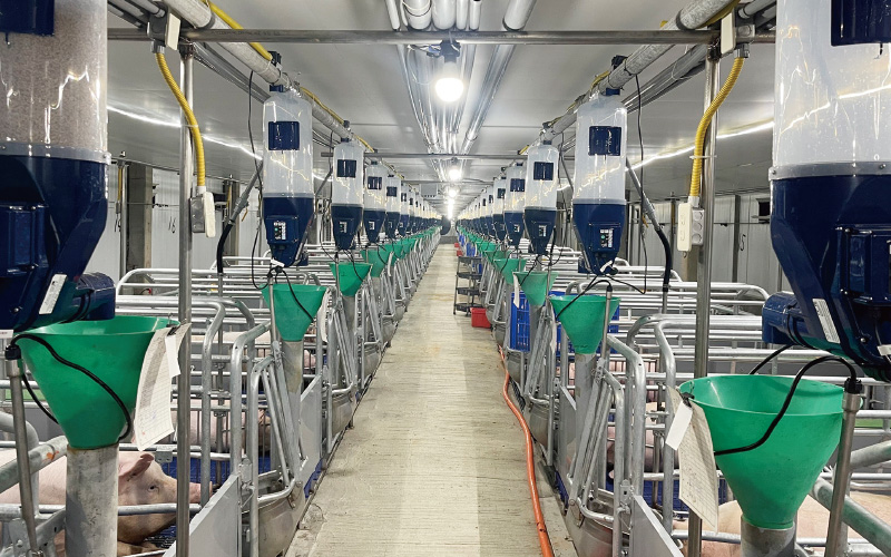 EMPEROR PENGUIN ENT.CO.,LTD. CASE - Automatic Feeding Equipment Gestal Focus