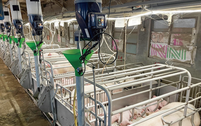 EMPEROR PENGUIN ENT.CO.,LTD. CASE - Automatic Feeding Equipment Gestal Focus