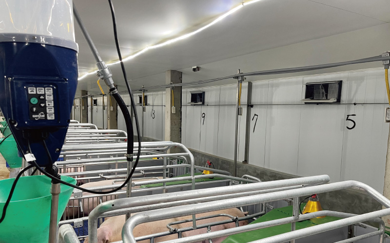 EMPEROR PENGUIN ENT.CO.,LTD. CASE - Automatic Feeding Equipment Gestal Focus