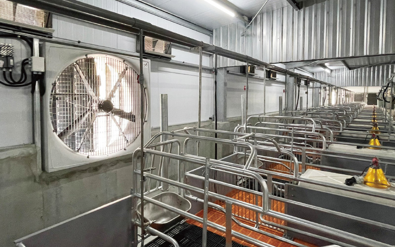 EMPEROR PENGUIN ENT.CO.,LTD. CASE - Farrowing House