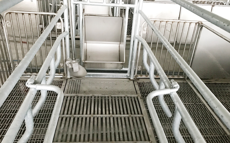 EMPEROR PENGUIN ENT.CO.,LTD. CASE - Farrowing House