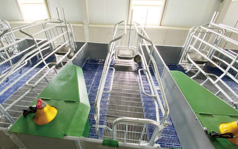 EMPEROR PENGUIN ENT.CO.,LTD. CASE - Farrowing House