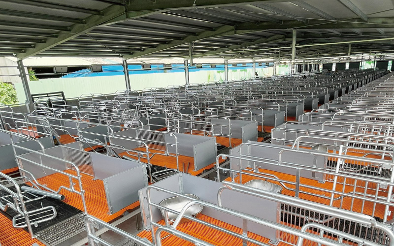 EMPEROR PENGUIN ENT.CO.,LTD. CASE - Farrowing House