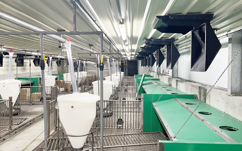 EMPEROR PENGUIN ENT.CO.,LTD. CASE - Nursery House