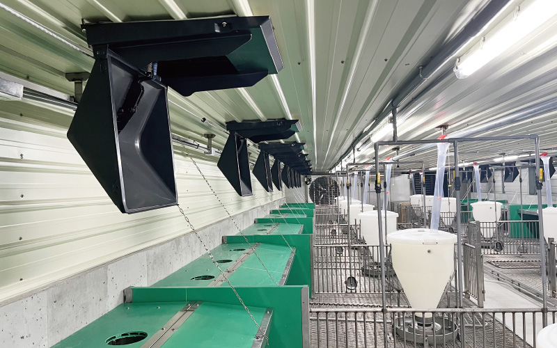 EMPEROR PENGUIN ENT.CO.,LTD. CASE - Nursery House