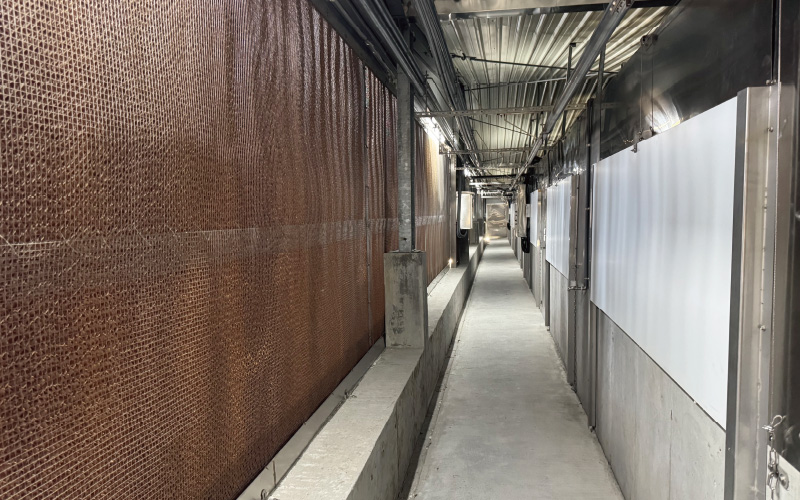 EMPEROR PENGUIN ENT.CO.,LTD. CASE - Nursery House