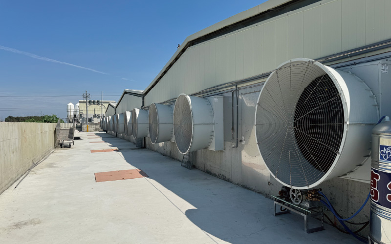 EMPEROR PENGUIN ENT.CO.,LTD. CASE - Nursery House