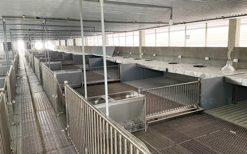 EMPEROR PENGUIN ENT.CO.,LTD. CASE - Nursery House