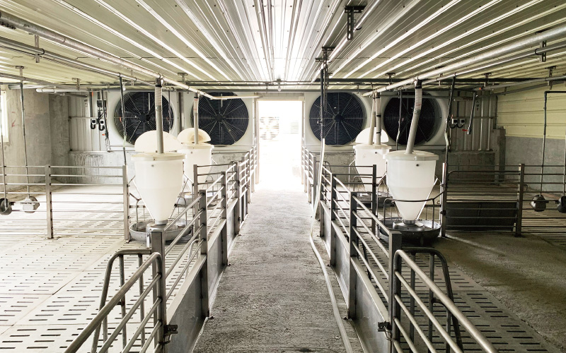 EMPEROR PENGUIN ENT.CO.,LTD. CASE - Finishing House