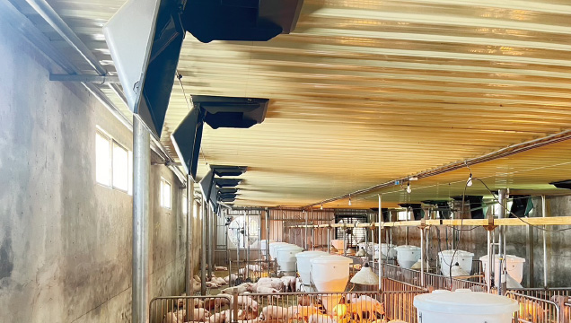 喇叭口＋不鏽鋼防護網, DA1540 天花板進氣窗