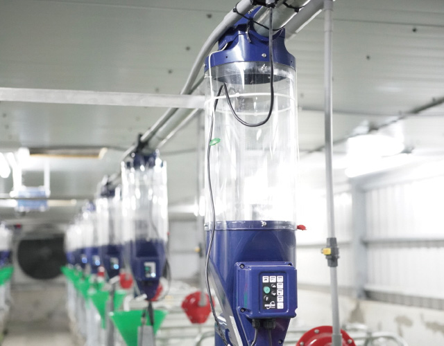 GESTAL FOCUS 哺乳母豬餵飼系統