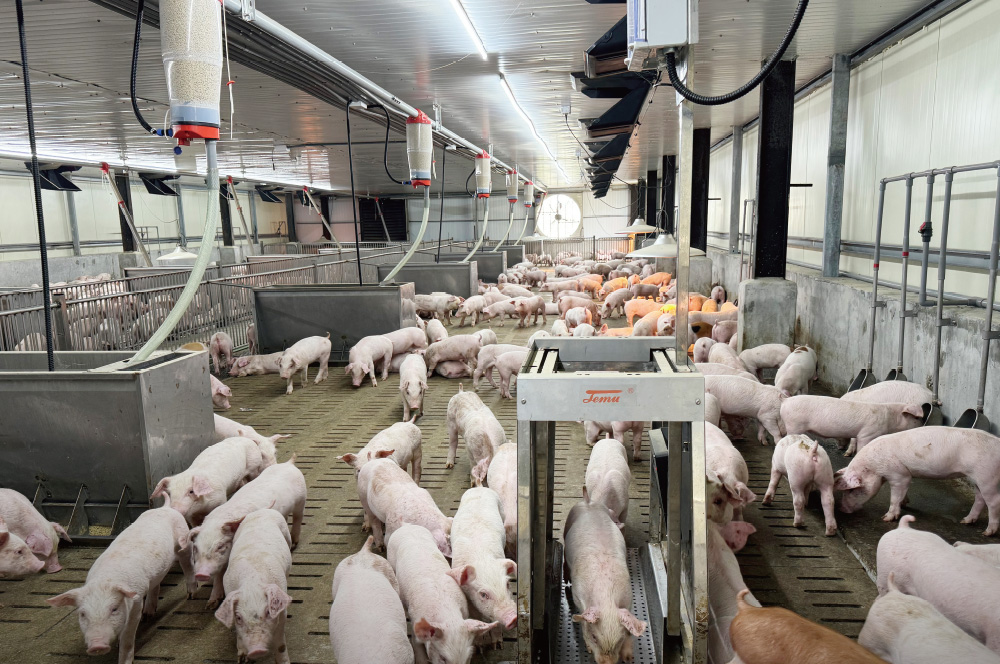 Temu 雲端管理，啟動智慧農場未來