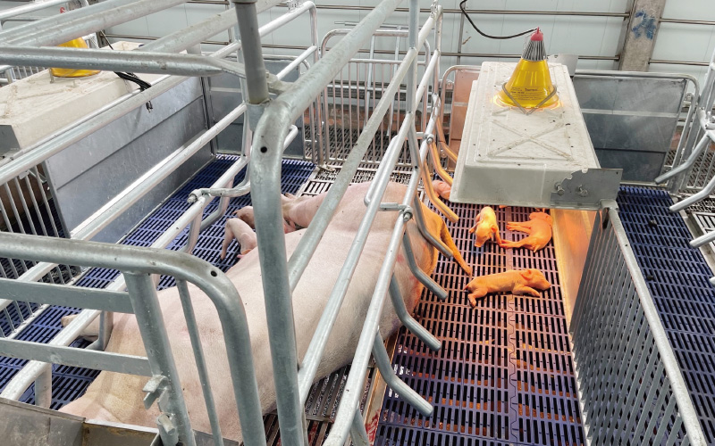 金榮鐵工廠 / 詮懋實業有限公司 分娩舍工程-實績案例