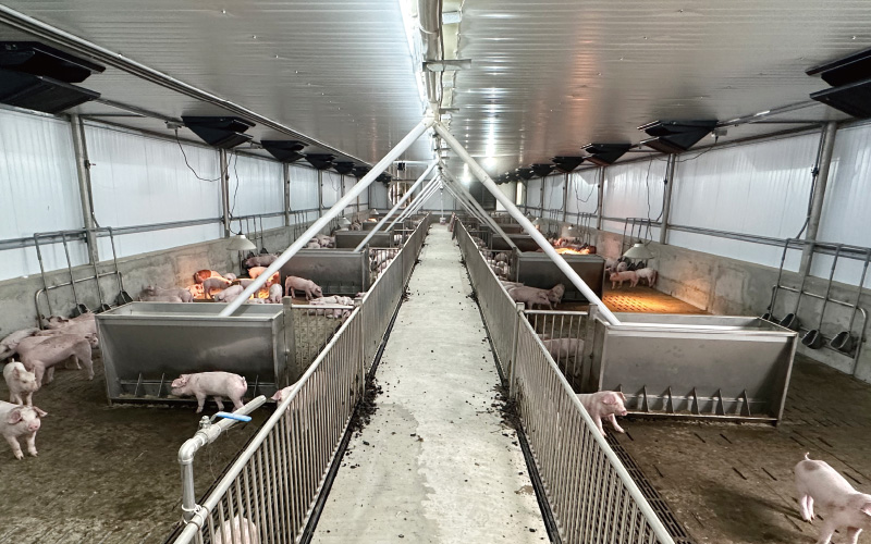 金榮鐵工廠 / 詮懋實業有限公司 保育舍工程-實績案例