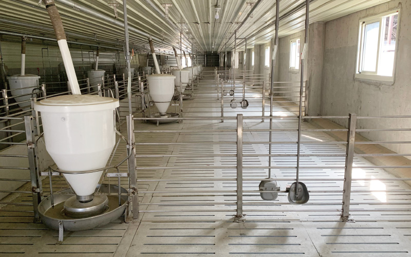 金榮鐵工廠 / 詮懋實業有限公司 肉豬舍工程-實績案例