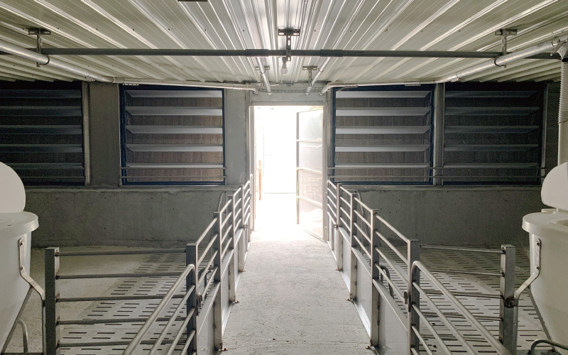 金榮鐵工廠 / 詮懋實業有限公司 肉豬舍工程-實績案例