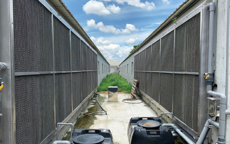 金榮鐵工廠 / 詮懋實業有限公司 肉豬舍工程-實績案例