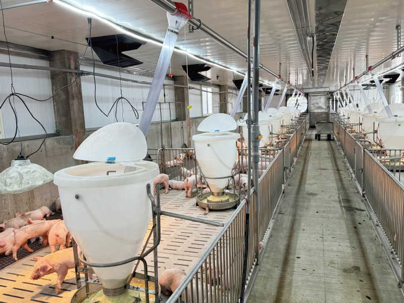 TEMU智慧輸送系統-產品應用