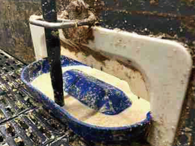 餵食槽注滿奶液