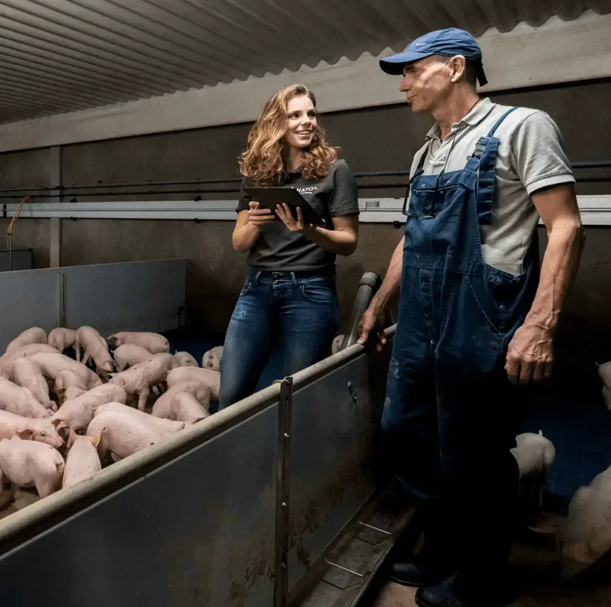 HATO 照明設備-豬照明