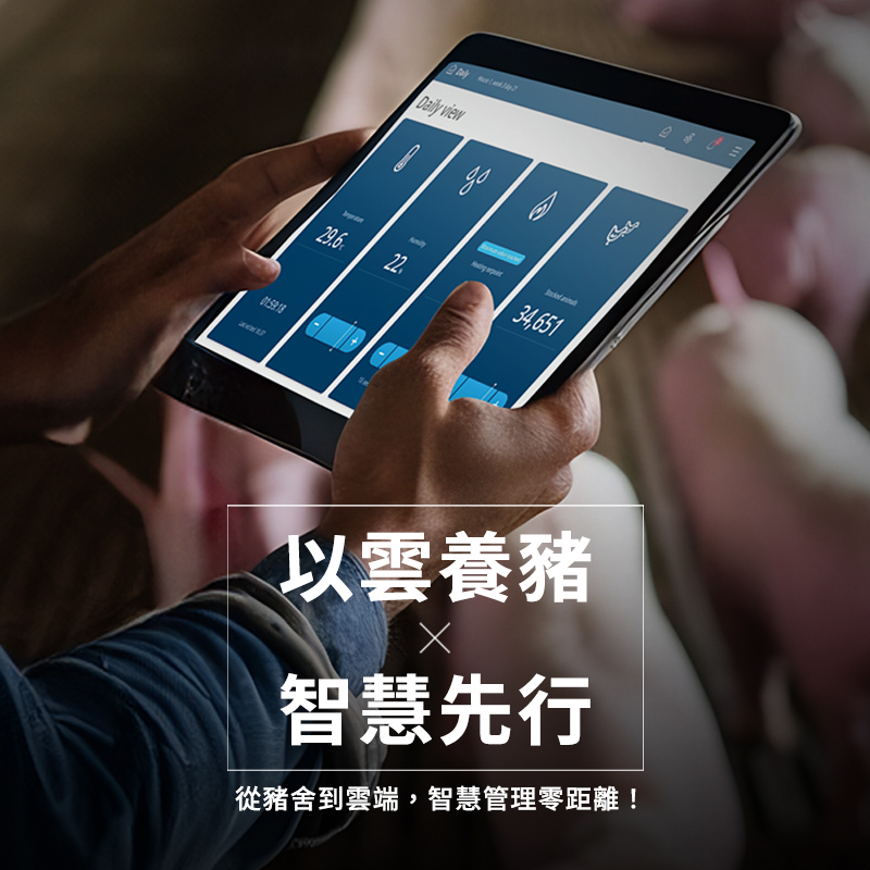 以雲養豬，智慧先行
