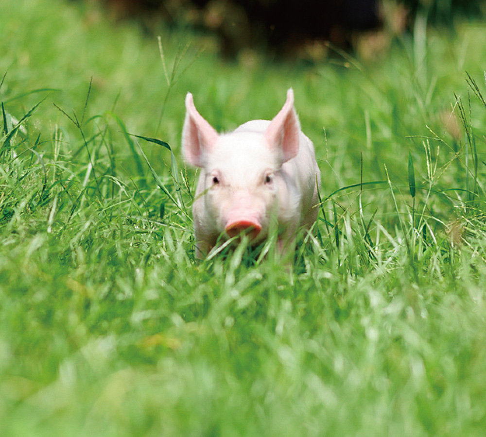 金榮鐵工廠/詮懋實業有限公司-公司簡介